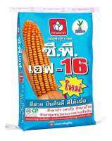 เมล็ดพันธุ์ข้าวโพด ซีพี เอฟ-16 3.5 หุน 10 กก. ต้นแข็ง แกนเล็ก เม็ดลึก