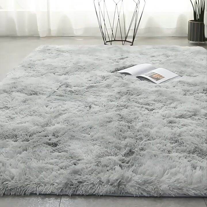 Minimalistic Style Super Soft Fluffy Rugs Bedroom Floor Carpet Mats