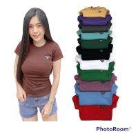 เสื้อยืดเข้ารูปเซ็กซี่สำหรับผู้หญิง?เสื้อยืดนมโตสีสวย ผ้าดีsize:32-36 ??