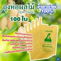 ถุงห่อผลไม้ ทีเอบี ขนาด 20x30 ซ.ม. จำนวน 100 ใบ ถุงห่อมะม่วง ถุงคาร์บอน ทีเอบี ป้องกันแมลงวันทอง ช่วยให้ผลไม้มีสีและผิวส