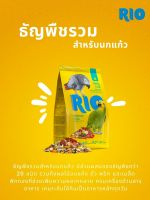 RIO Daily Feed Parrots 1kg อาหารนกแก้ว สูตรประจำวัน ธัญพืชรวมโภชนาการครบถ้วนมากกว่า 20 ชนิด