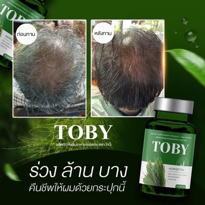 โทบี้หางม้า-toby-horsetail-โทบี้ฮอร์สเทล-โทบี้หญ้าหางม้า-ลดผมร่วง-ผมสี-ผมงอกใหม่-ลดรังแค-บำรุงรากผมให้แข็งแรง