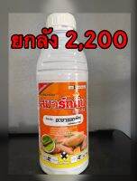 สมาร์ทติน อะบาเมกติน  ขนาด1ลิตร 1ลังมี12ขวด กำจัดแมลงทั้งประเภทปากดูด และปากกัด เช่น หนอนชอนใบ หนอนใยผัก เพลี้ยไฟ เพลี้ยจักจั่นออกฤทธิ์กำจัดแมลงทั้งแบบถูกตัวตาย และกินตาย และยังสามารถดูดซึมเข้าสู่ใบพืชได้