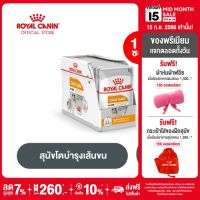 [ยกกล่อง 12 ซอง] Royal Canin Coat Care Pouch Loaf โรยัล คานิน อาหารเปียกสุนัขโต ทุกขนาด บำรุงเส้นขน (โลฟเนื้อละเอียด, Wet Dog Food)