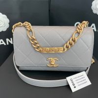 Chayadashop NEW Chanel Flap Bag 8” in Grey Caviar GHW #Microchip