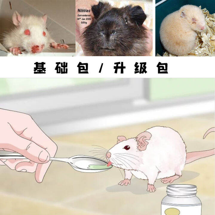 Spray Mouse Respiratory Tract Infection Golden Bear Hamster Cold Guinea