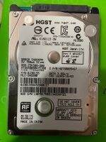 Harddisk host 500gb