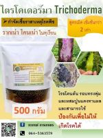 กำจัดโรครากเน่า โคนเน่าในทุเรียน ไตรโคเดอร์มา สูตรเม็ด ขนาด 500 กรัม