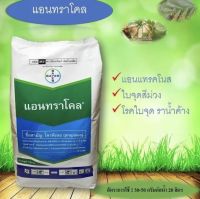 ? แอนทราโคล ? ( โพรพิเนบ 70% WP ) ขนาด 1กก. สารป้องกัน และกำจัดโรคพืช เช่น โรคใบจุด โรคเชื้อราทุกชนิด