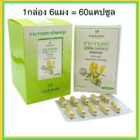 ?แท้?%(ค่าส่งถูก) SENNA CAPSULES มะขามแขกแคปซูล อ้วยอันโอสถ ยาสามัญประจำบ้าน มะขามแขกอ้วยอัน