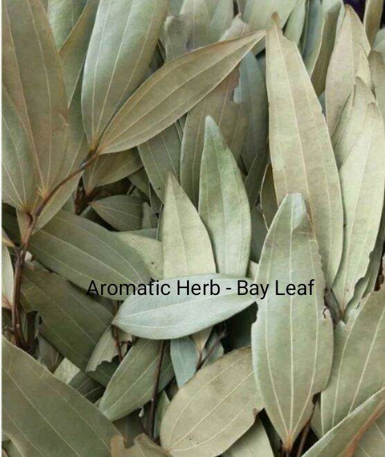 Daun Salam/ Indian Bay Leaf ( Aromatic Dried Herb) 50gm/100gm per pack