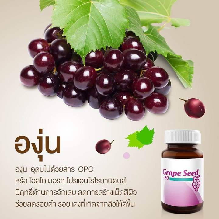 vistra-grape-seed-extract-60-mg-สารสกัดจากเมล็ดองุ่น-1-ขวด-30เม็ด