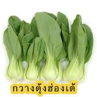 เมล็ดพันธุ์ผัก กวางตุ้งฮ่องเต้ 1200++ เมล็ด