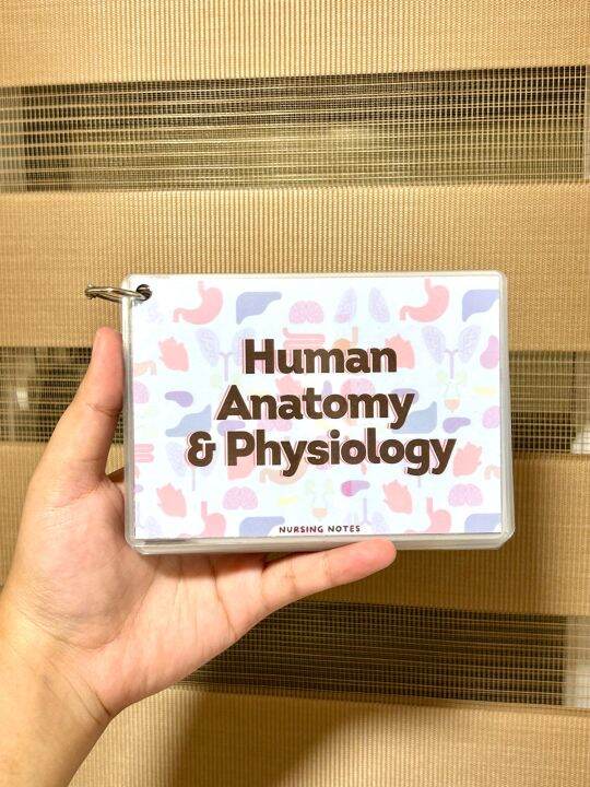 Anatomy and physiology Flashcard laminated by NURSING NOTES Lazada PH