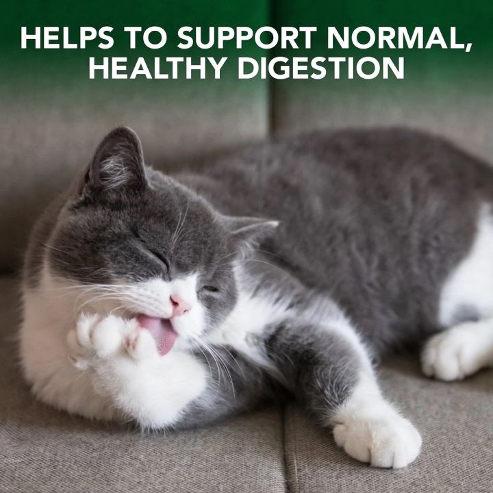 พร้อมส่ง-อาหารลดก้อนขนแมว-vets-best-chewable-tablets-hairball-control-supplement-for-cats