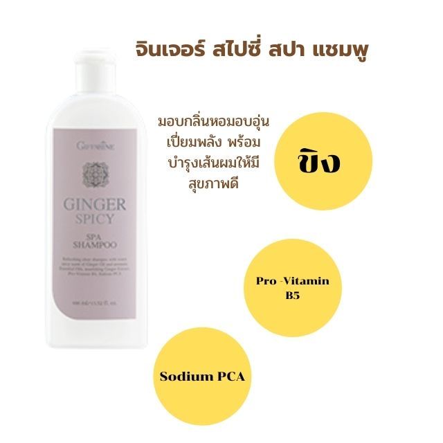 จินเจอร์-สไปซี่-สปา-แชมพู-ginger-spicy-spa-shampoo-ผ่อนคลายและคืนความสดชื่นให้เส้นผมและหนังศีรษะ