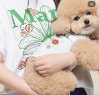 เสื้อ Mardi สีเขียวอ่อน Set แม่ลูก (L)