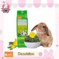 Dandelion หญ้าจากต้นแดนดิไลออน อุดมด้วยสารอาหาร เสริมไฟเบอร์ ยี่ห้อ Jolly