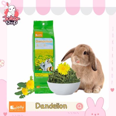 Dandelion หญ้าจากต้นแดนดิไลออน อุดมด้วยสารอาหาร เสริมไฟเบอร์ ยี่ห้อ Jolly