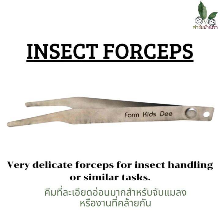 INSECT FORCEPS คีมหนีบแมลง คีมที่ละเอียดอ่อนมากสำหรับจับแมลง แมลงหาง