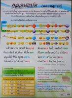 ภาพสื่อ กลอนแปด กลอนสุภาพ