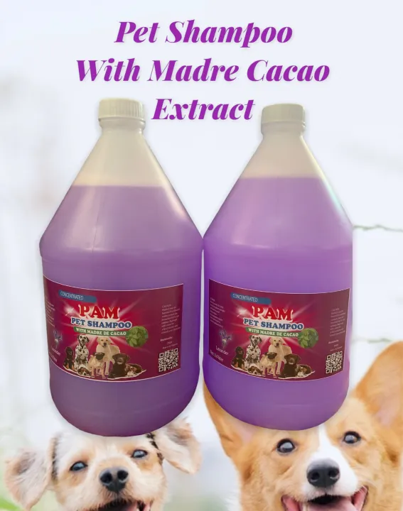 Dog and Cat Shampoo With Madre Cacao 1gallon Lazada PH