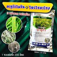 บาซูก้า 100 กรัมคอรวงแห้ง บีม75 คาซูก้าไมซิน+ไตรไซคลาโซล 100 กรัม #ใบติด#เน่ายุบ#เซติม่า