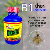 บีวัน​ B-1 น้ำยาเร่งราก