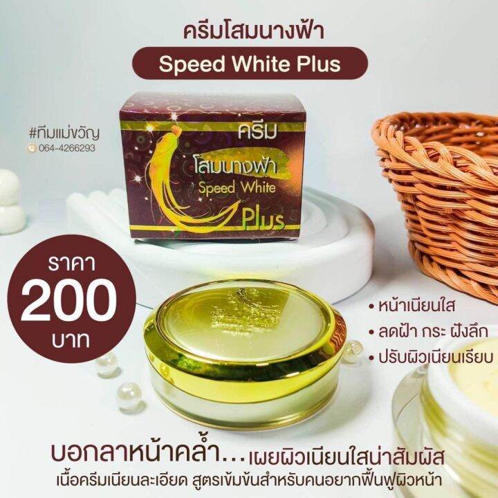 set-5-กล่อง-ครีมโสมนางฟ้า-ของเเท้100-speed-white-plus-premium-ginseng-ครีมกลางคืน-ขนาด-20-กรัม