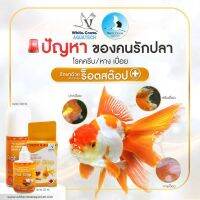 ฟอร์มาลีน Rof Sfop25ml.100ml.