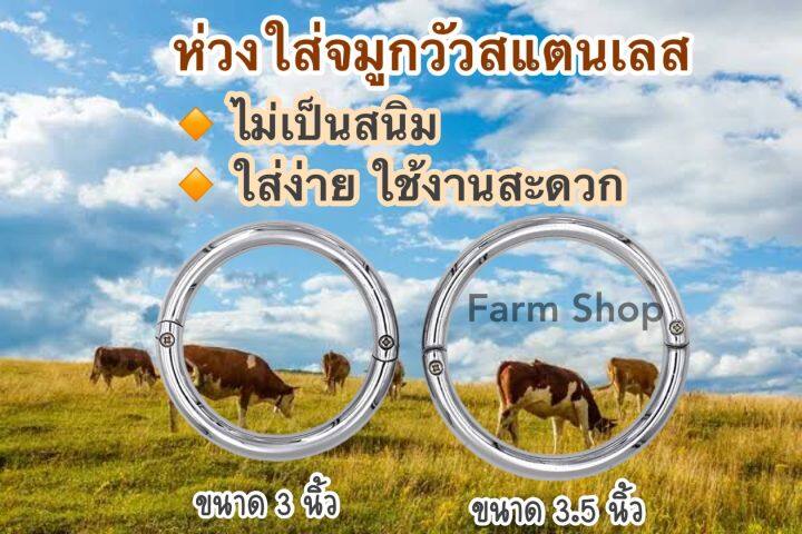 ห่วงสแตนเลส-ห่วงจมูกวัว-3-นิ้ว-3-5-นิ้ว-ห่วงสำหรับใส่จมูกวัววัว-โค-กระบือ