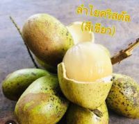 ลำไยคริสตัลสีเขียว(เพาะเมล็ด)