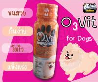 โอ ทรี วิท (O3Vit) อาหารเสริมสำหรับสุนัข ช่วยกระตุ้นการกิน