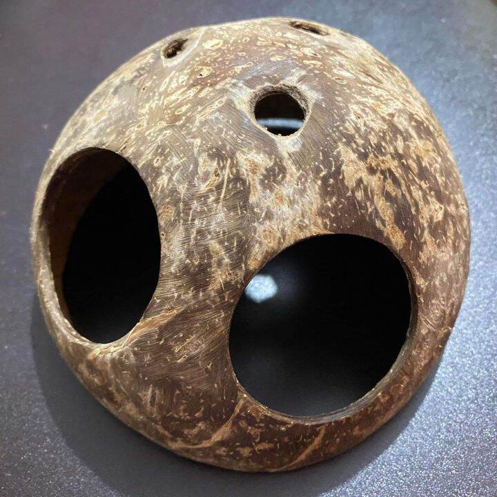Coconut hide 2 holes , small pet hide Lazada PH