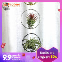 ห่วงกลมสับปะรดอากาศห่วงอลูมิเนียมที่แขวนหญ้าอากาศที่แขวนวงเล็บ tillandsia แขวนระเบียงสร้างสรรค์