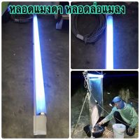 หลอดไฟล่อแมลงสีฟ้าน้ำทะเล หลอดแบล็คไลท์ ชนิดหลอดอ้วน (Black light สีน้ำทะเล T8 หลอดยาว สำหรับล่อแมง