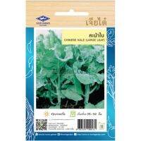 เมล็ดพันธุ์ คะน้าใบ (CHIN ESE LARGE LEAF )  บรรจุ 2,260 เมล็ด ตราเจียไต๋