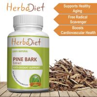 [ของแท้ ตรงปก] เปลือกสนสกัด Pine Bark Extract 250mg Veg 60 Capsules 95% OPC Antioxidant Free Radical Protection