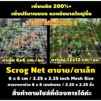 Scrog net ตาข่าย ตาข่ายปลูกพืช ตาข่ายพืชสมุนไพร ตาข่ายปลูกต้นไม้ ตาข่ายกัญ Green Herb Net Net For Plants ตาเล็ก 6 ซม./cm