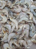 กุ้งขาวสด 50-59 ตัว/โล จัดส่งฟรี ด้วยรถควบคุมอุณหภูมิเย็น