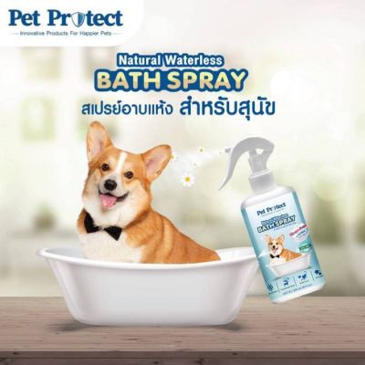 สเปรย์อาบน้ำแห้ง หมา แมว Natural Waterless Bath Spray Kanimal คานิมอล Pet protect