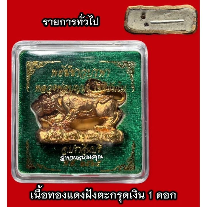 พยัคฆ์ขาวบูรพา-ขนาดพกพา-หลวงปู่บุญมา-สำนักสงฆ์เขาแก้วทอง-จ-ปราจีนบุรี-มีหลายเนื้อ