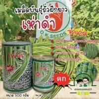 เมล็ดพันธุ์ถั่วฝักยาว “ เห่าดำ “ ? ตรา O.K.Seeds