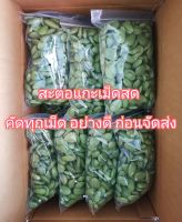 ??​พร้อม​ส่ง,​สะตอแกะสด​,ขนาด 500 กรัม​