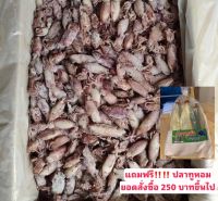 หมึกกะตอยต้ม ปนไข่ แถมฟรี‼️‼️ปลาทูหอม หอมสั่งซื้อ 250 บาทขึ้นไป