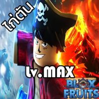 ไก่ตัน 6 หมัด ผลตื่นสุ่ม ดาบสุ่ม ของแรร์ในตัว หรือ ผลเทพในตัว เลเวล 2450 MAX - BLOX FRUIT