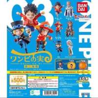 (กาชาปอง) แท้100% First Naval Battle vol.3 ผลไม้ปีศาจ Blox Fruit Devil Fruit Gashapon From TV Animation แมวทอง One piece