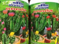 ปุ๋ยแคคตัส (CACTUS FERTILIZER) บำรุงต้น หนาม ราก หัวสมบูรณ์ ต้นแข็งแรง ตราช่องาม