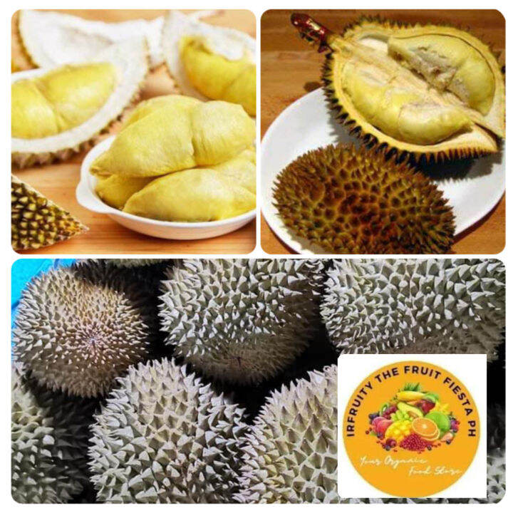 Durian Fruits Fresh & Sweet (