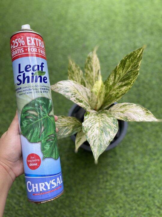 LEAF SHINE Lazada PH